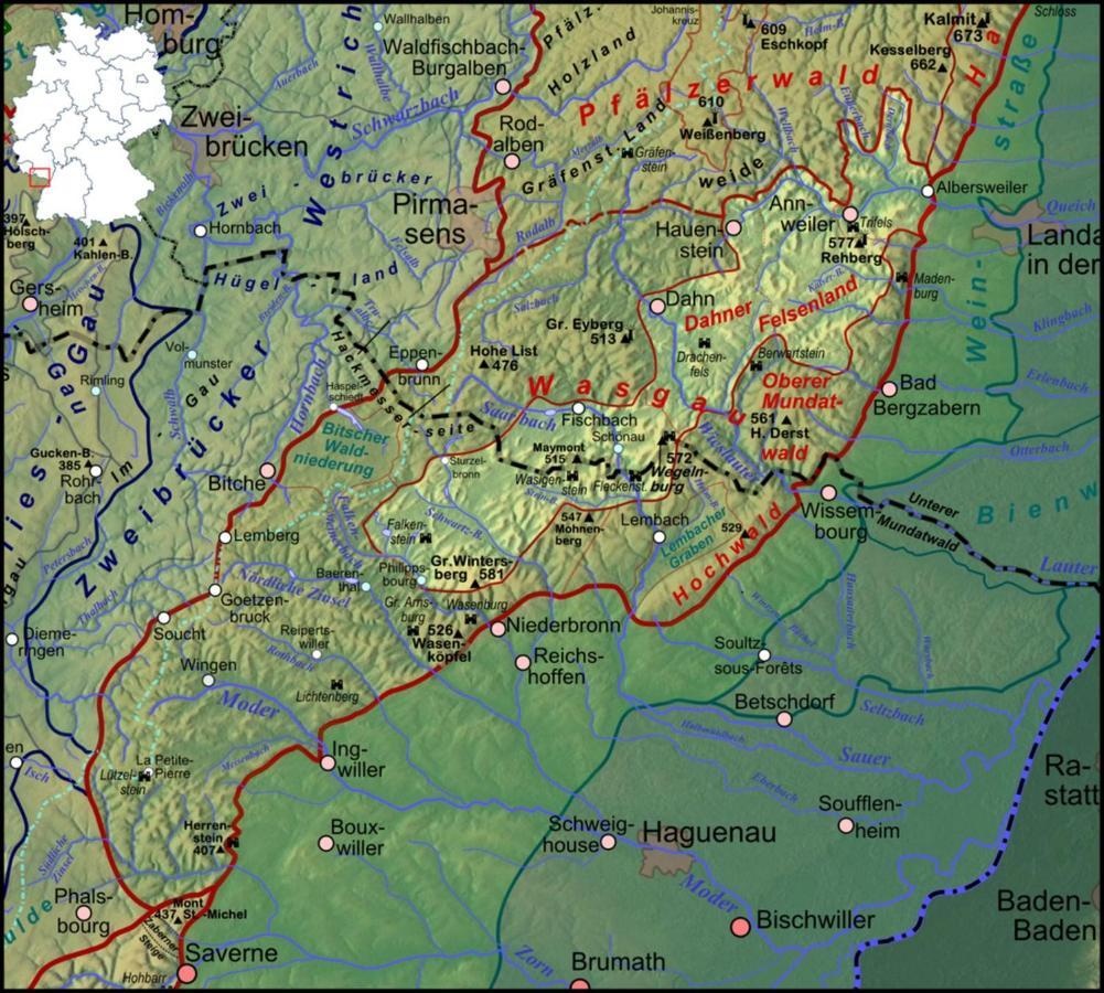 Fewo Pfaelzer Felsenlandschaft Pirmasens Exteriér fotografie